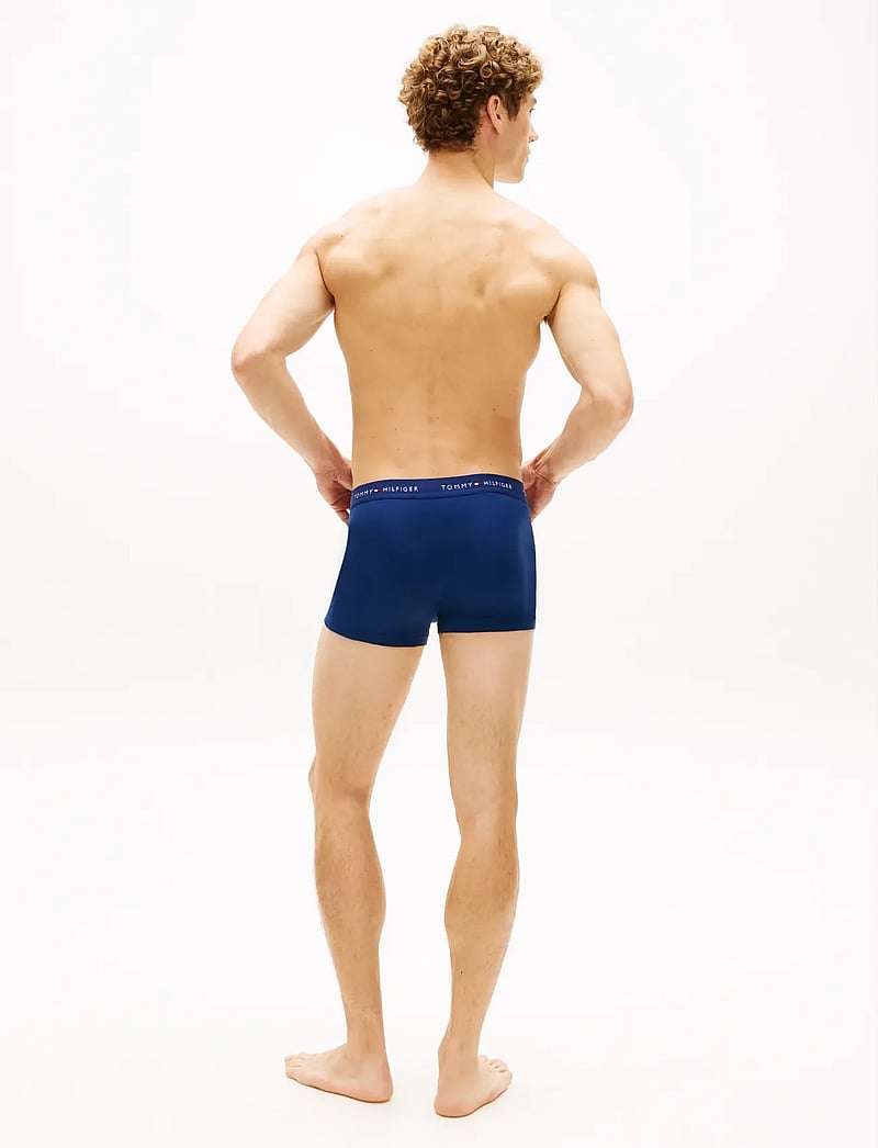 Tommy Hilfiger - 3P TRUNK DTM - aluspükste mitmikpakk - nob blu prp nvy blk - 5