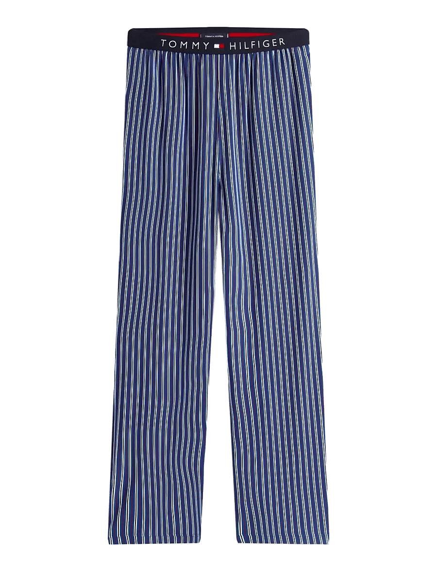 Tommy Hilfiger - LS JERSEY PJ SET PRINT - pyjamasset - deep indigo blue dense stripe - 2