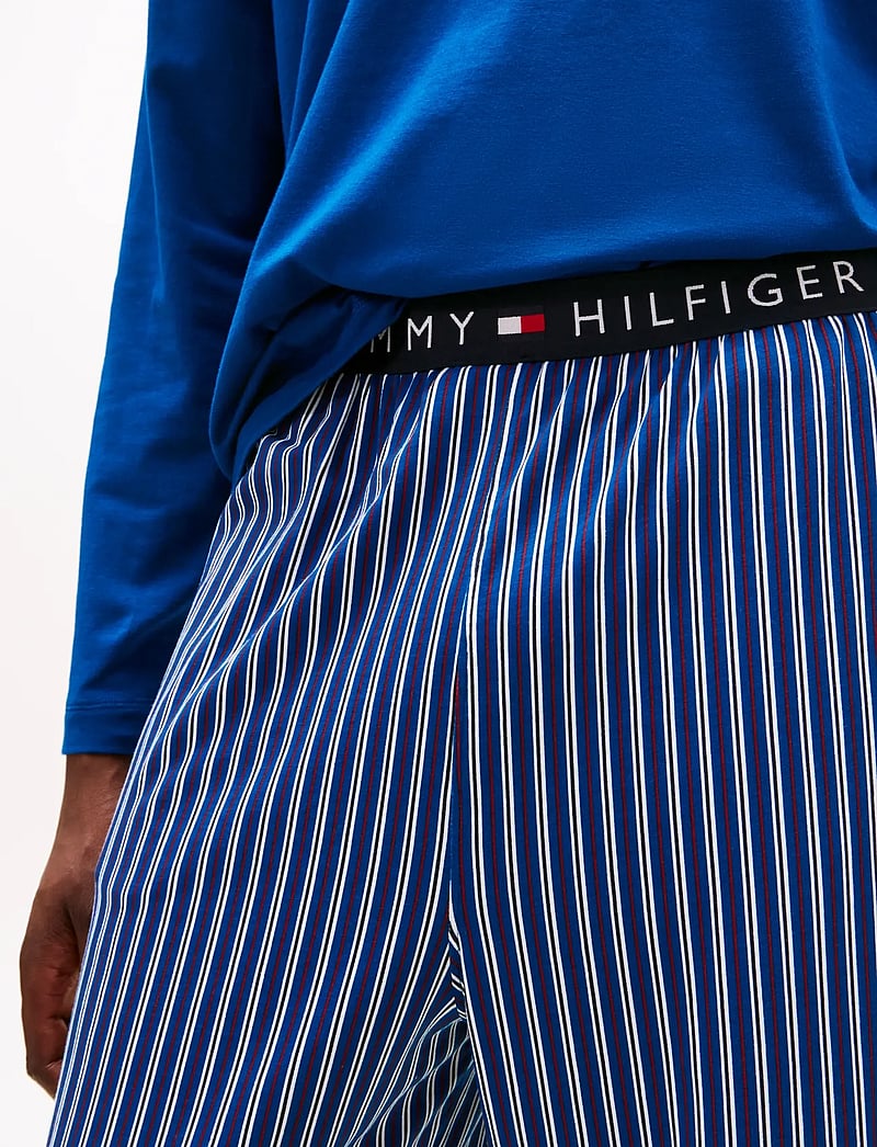 Tommy Hilfiger - LS JERSEY PJ SET PRINT - pyjamasset - deep indigo blue dense stripe - 5