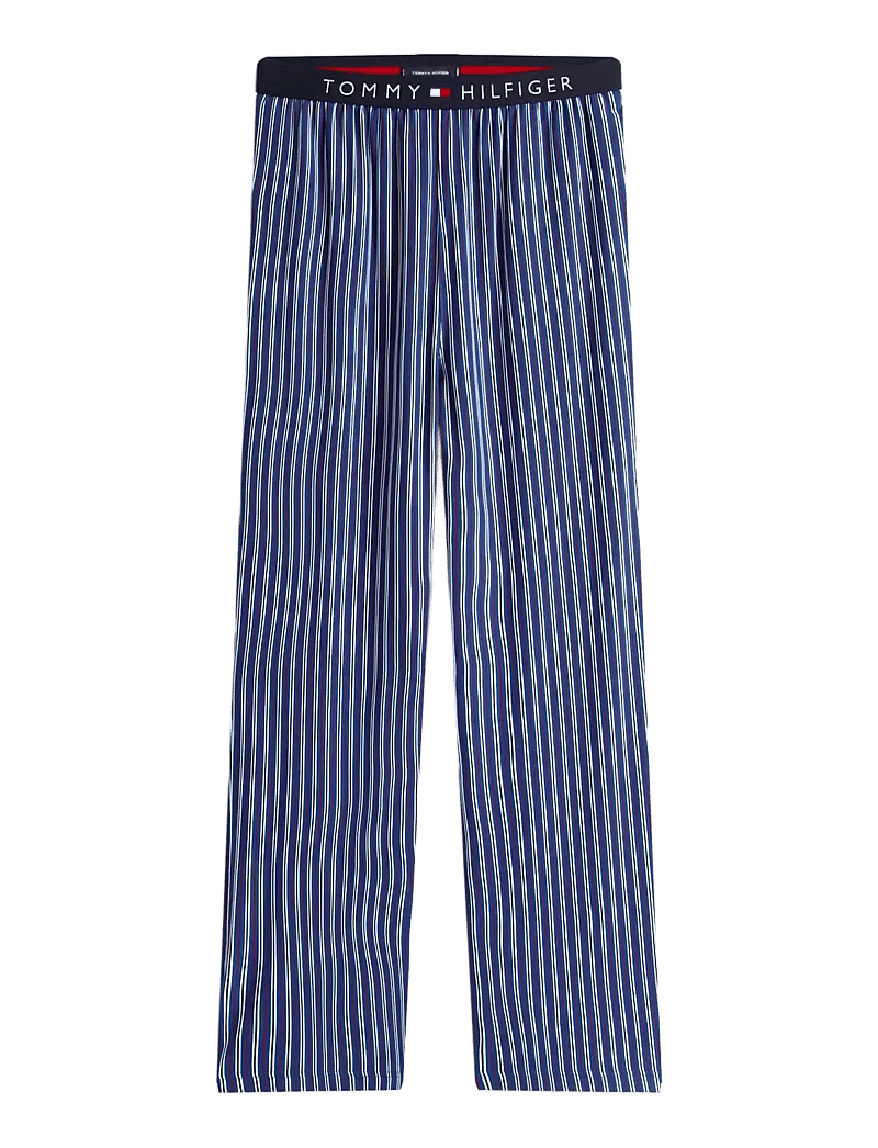 Tommy Hilfiger - LS JERSEY PJ SET PRINT - pyjamasset - deep indigo blue dense stripe - 3