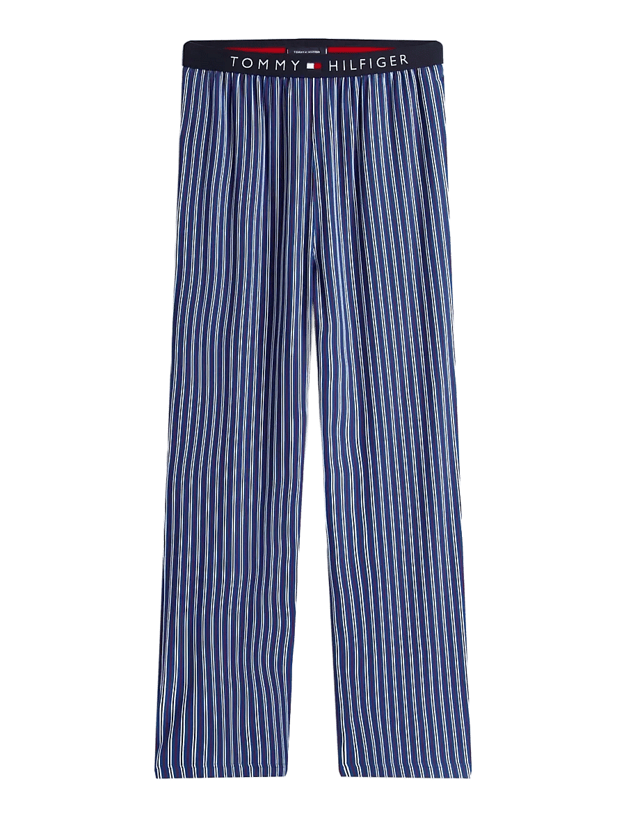 Tommy Hilfiger - LS JERSEY PJ SET PRINT - pyjamasset - deep indigo blue dense stripe - 3