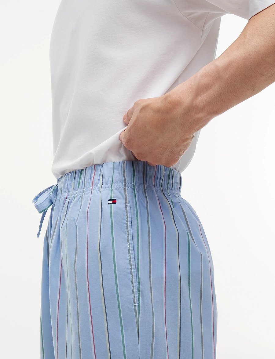 Tommy Hilfiger - WOVEN PJ PANT PRINT - pyjamahosen - pinstripe multi - 4