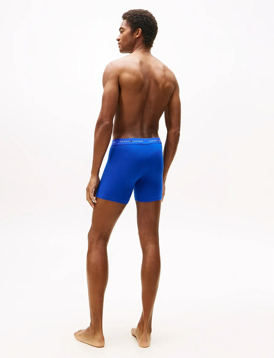 Tommy Hilfiger - 3P BOXER BRIEF DTM - multipack underpants - nob blu prp nvy blk - 4
