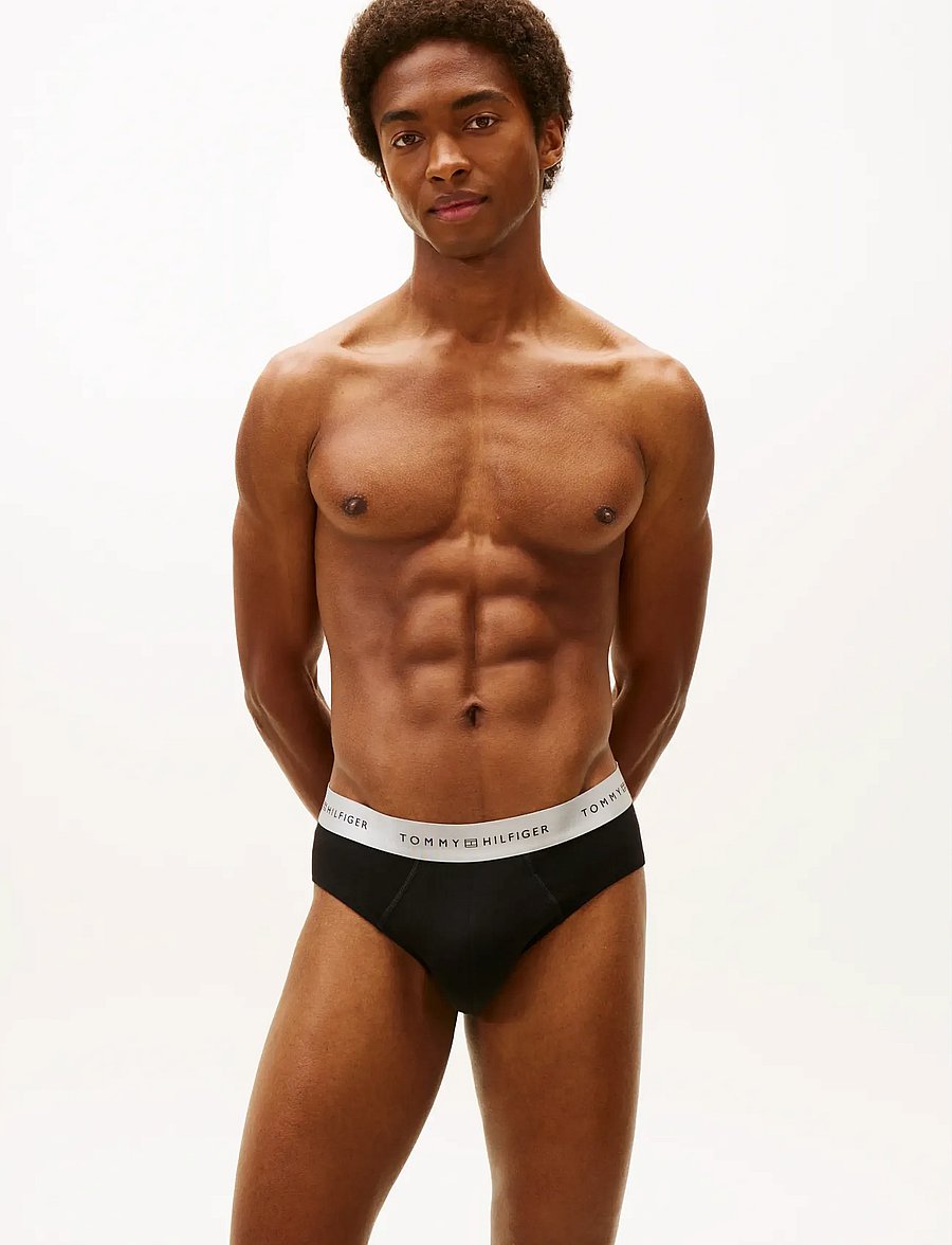 Tommy Hilfiger - 3P BRIEF METALLIC WB - multipack underpants - blk des sky silver - 2