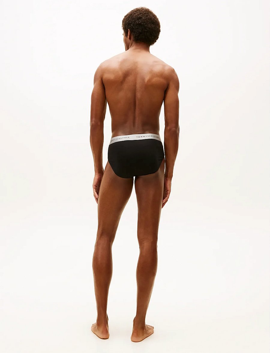 Tommy Hilfiger - 3P BRIEF METALLIC WB - multipack underpants - blk des sky silver - 4