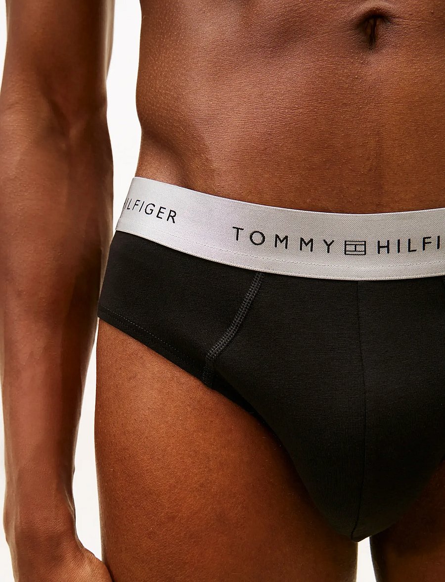 Tommy Hilfiger - 3P BRIEF METALLIC WB - multipack underpants - blk des sky silver - 5