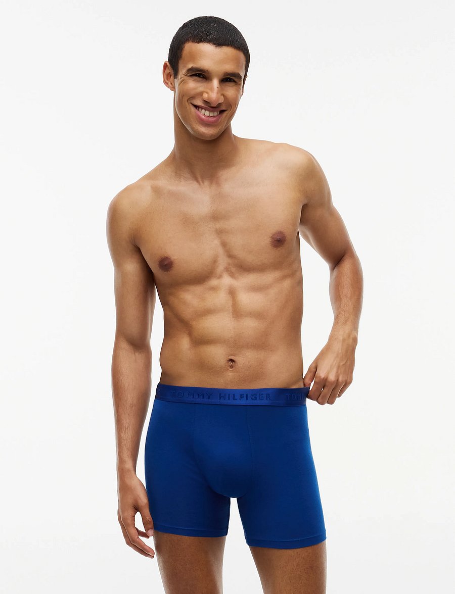 Tommy Hilfiger - 3P BOXER BRIEF - multipakk aluspüksid - orna green burgundy opulent blue - 0
