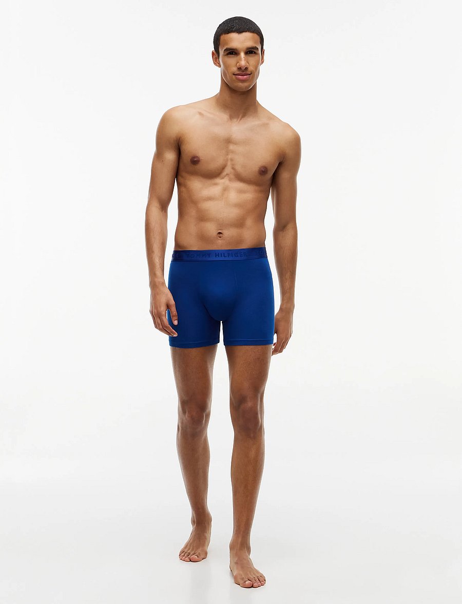 Tommy Hilfiger - 3P BOXER BRIEF - multipakk aluspüksid - orna green burgundy opulent blue - 2