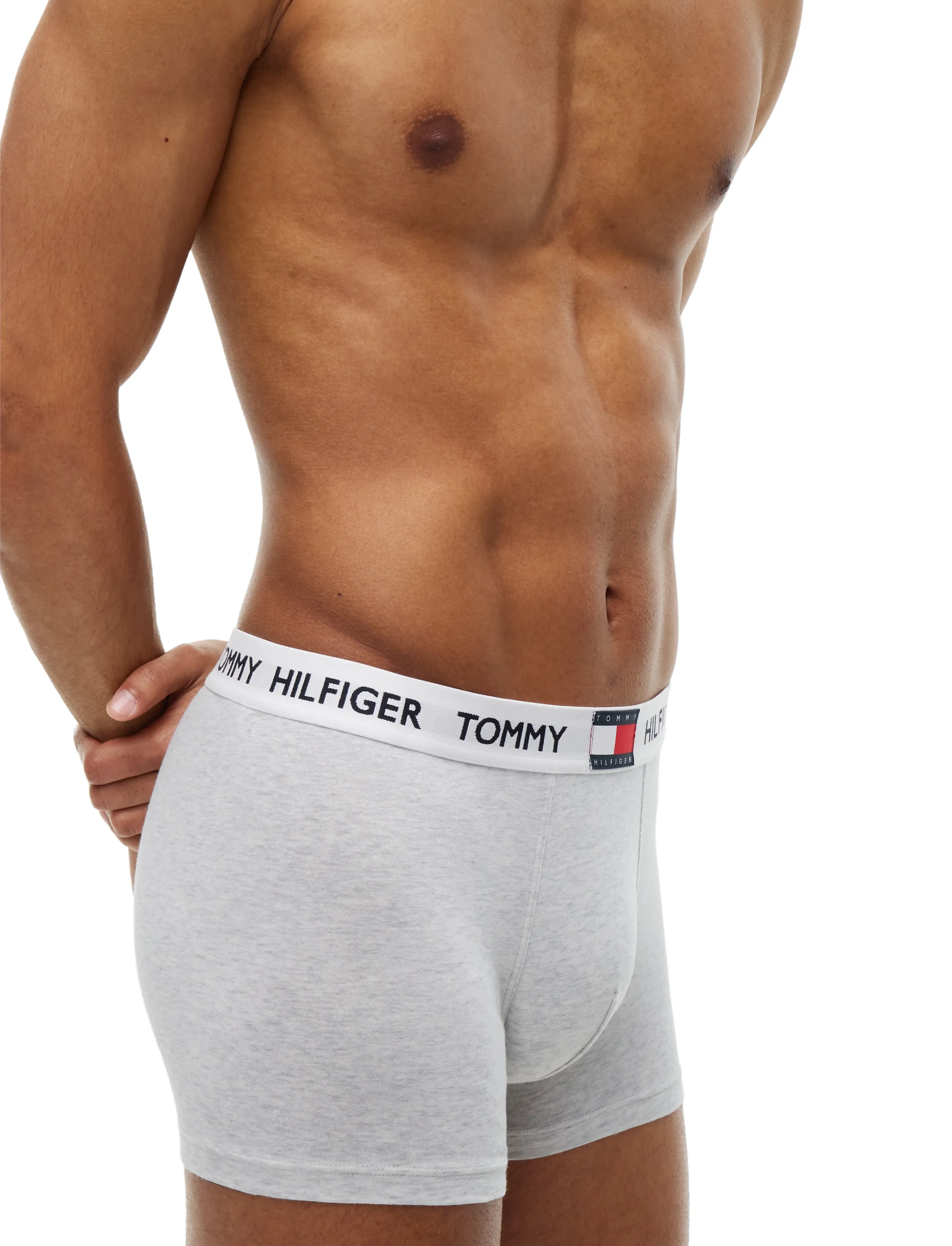 Tommy Hilfiger - 3P TRUNK - multipakk aluspüksid - noble blue brisk blue ice grey hthr - 3