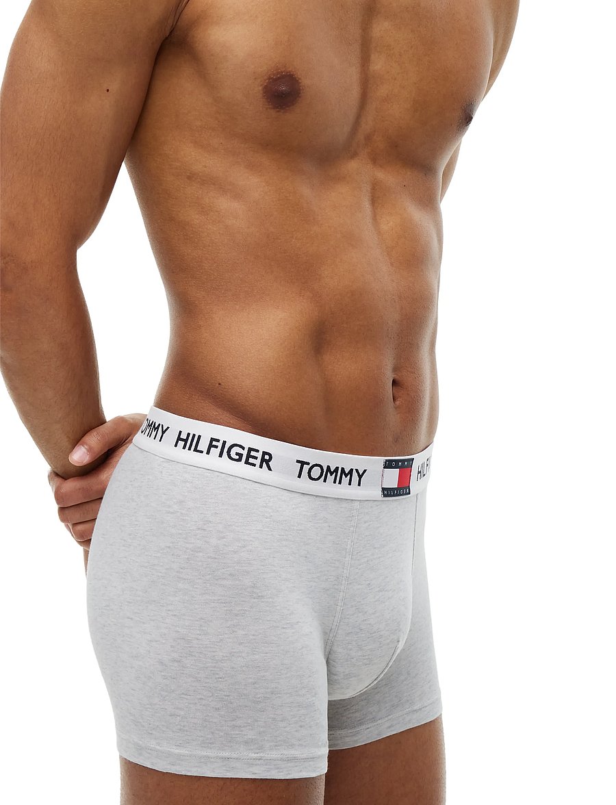 Tommy Hilfiger - 3P TRUNK - multipakk aluspüksid - noble blue brisk blue ice grey hthr - 2