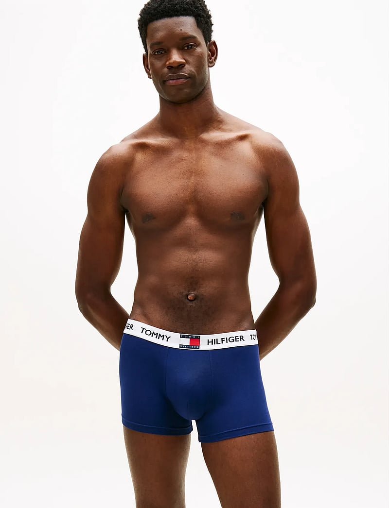 Tommy Hilfiger - 3P TRUNK - unterhosen im multipack - utl sge prppy nvy keepsake blu - 0