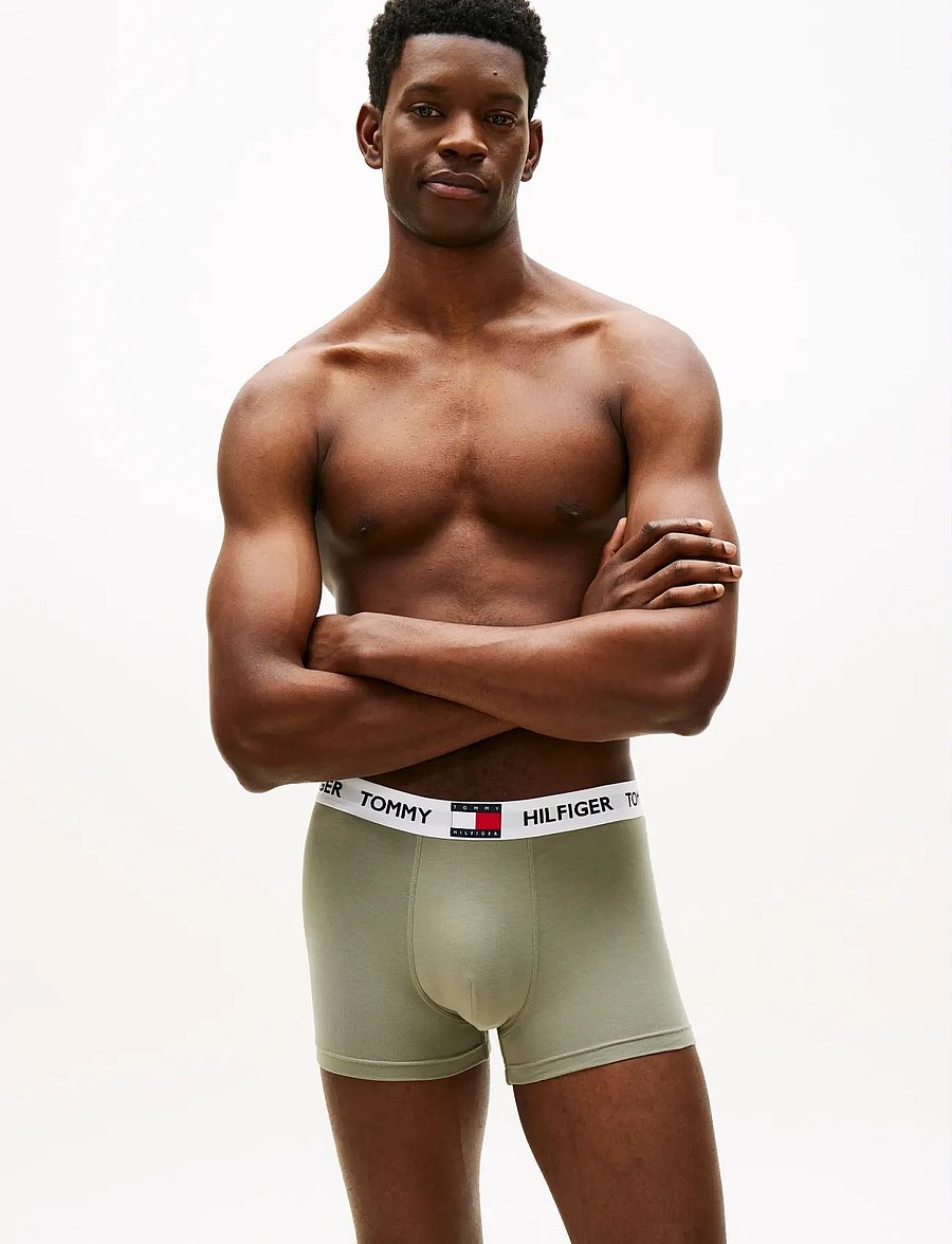 Tommy Hilfiger - 3P TRUNK - multipack underpants - utl sge prppy nvy keepsake blu - 4