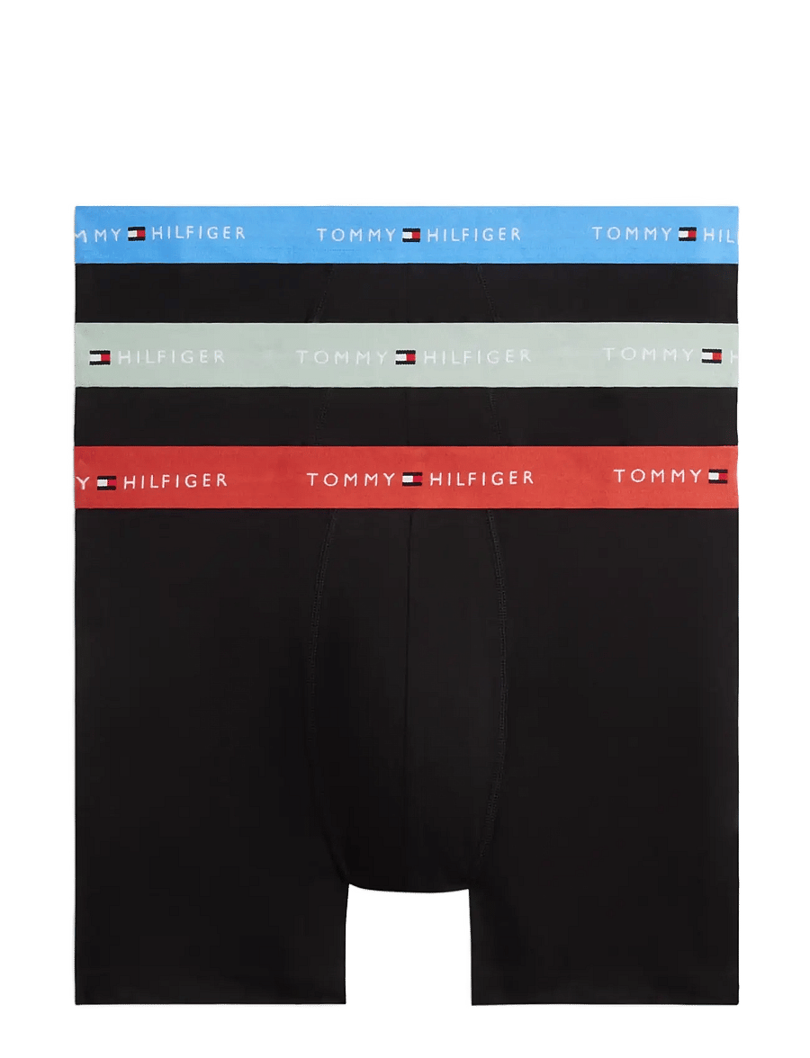 Tommy Hilfiger - 3P BOXER BRIEF WB - multipakk aluspüksid - b blue spell terra red minty grey - 1