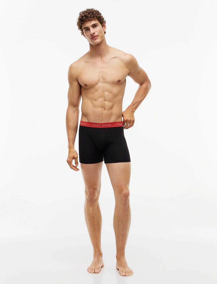 Tommy Hilfiger - 3P BOXER BRIEF WB - multipakk aluspüksid - b blue spell terra red minty grey - 2