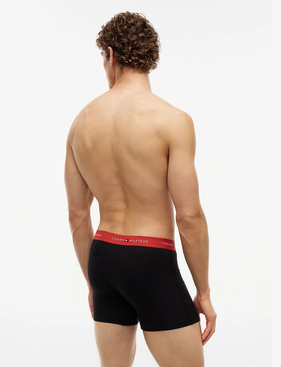 Tommy Hilfiger - 3P BOXER BRIEF WB - multipakk aluspüksid - b blue spell terra red minty grey - 4