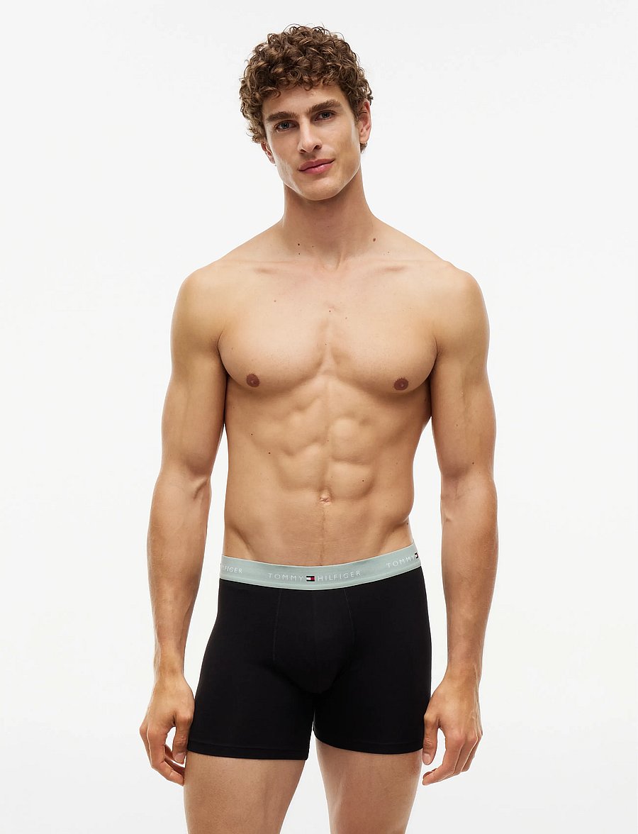 Tommy Hilfiger - 3P BOXER BRIEF WB - multipakk aluspüksid - b blue spell terra red minty grey - 5