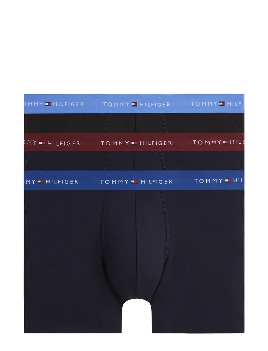 Tommy Hilfiger - 3P BOXER BRIEF WB - multipakk aluspüksid - nb opul blue burgundy blue spell - 1