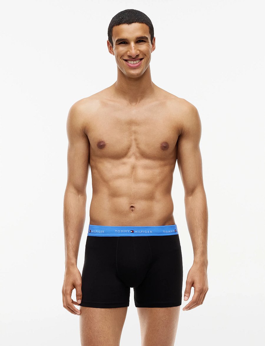 Tommy Hilfiger - 3P BOXER BRIEF WB - multipakk aluspüksid - nb opul blue burgundy blue spell - 0