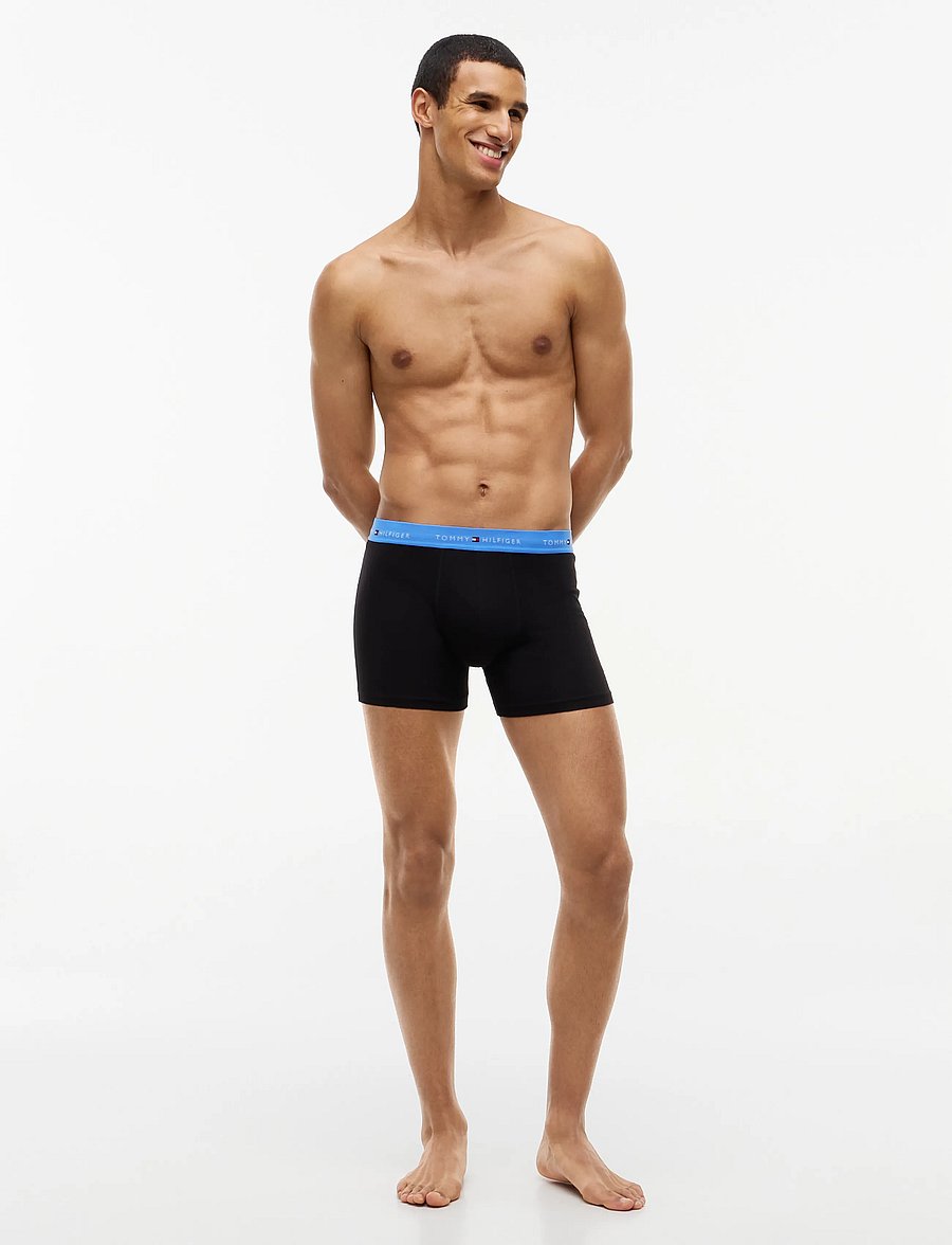 Tommy Hilfiger - 3P BOXER BRIEF WB - multipakk aluspüksid - nb opul blue burgundy blue spell - 2
