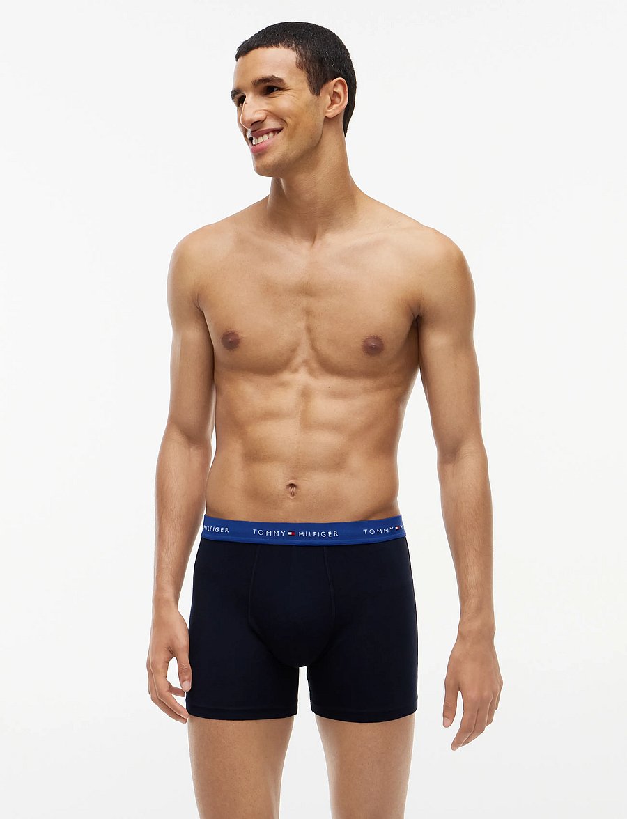 Tommy Hilfiger - 3P BOXER BRIEF WB - multipakk aluspüksid - nb opul blue burgundy blue spell - 4