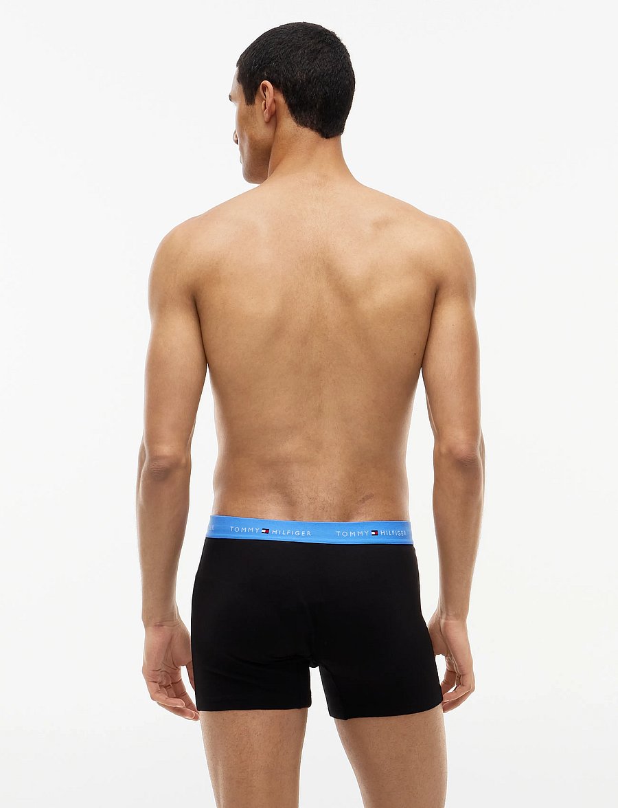Tommy Hilfiger - 3P BOXER BRIEF WB - multipakk aluspüksid - nb opul blue burgundy blue spell - 5