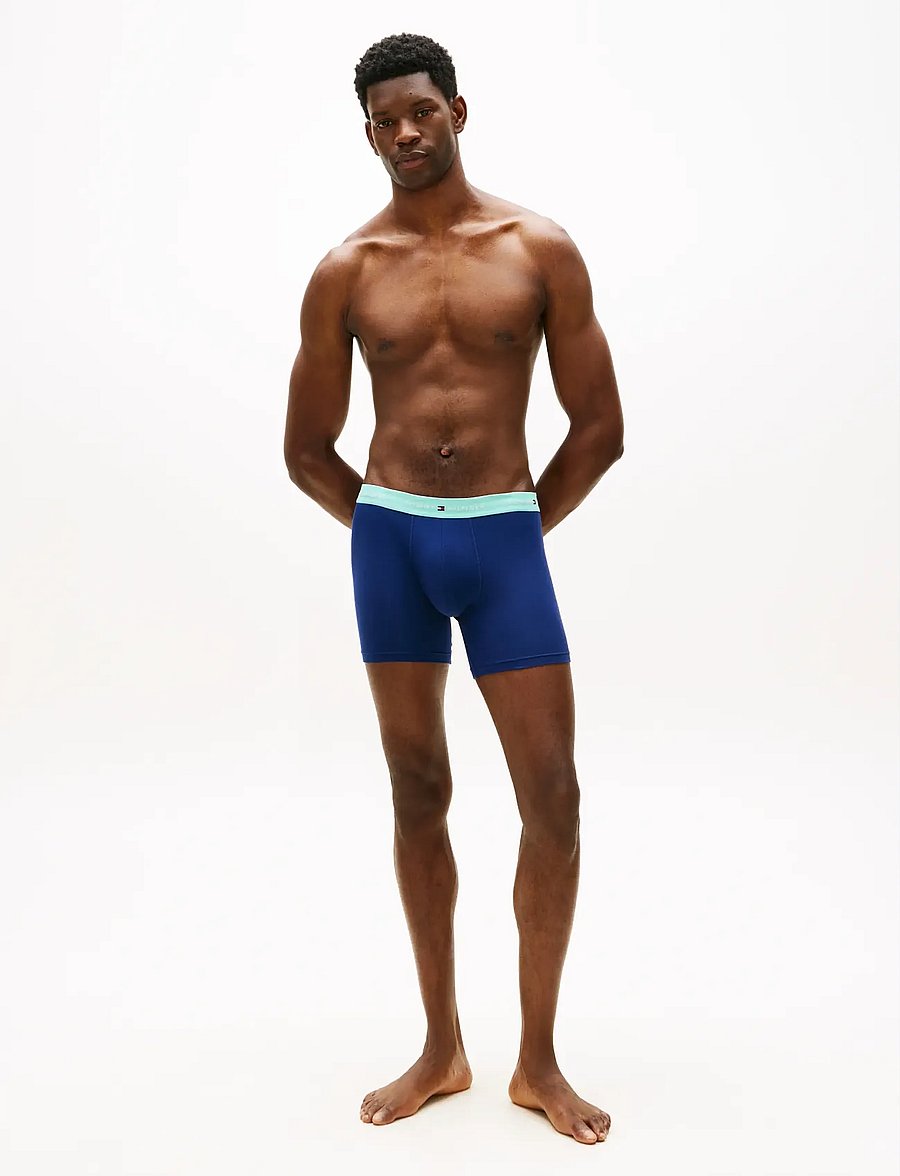 Tommy Hilfiger - 3P BOXER BRIEF WB - multipack kalsonger - ptch blu arc aqu des - 2