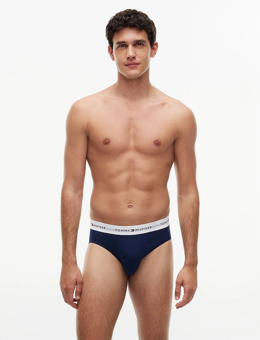 Tommy Hilfiger - 3P BRIEF - multipakk aluspüksid - carbon navy carbon navy carbon navy - 0