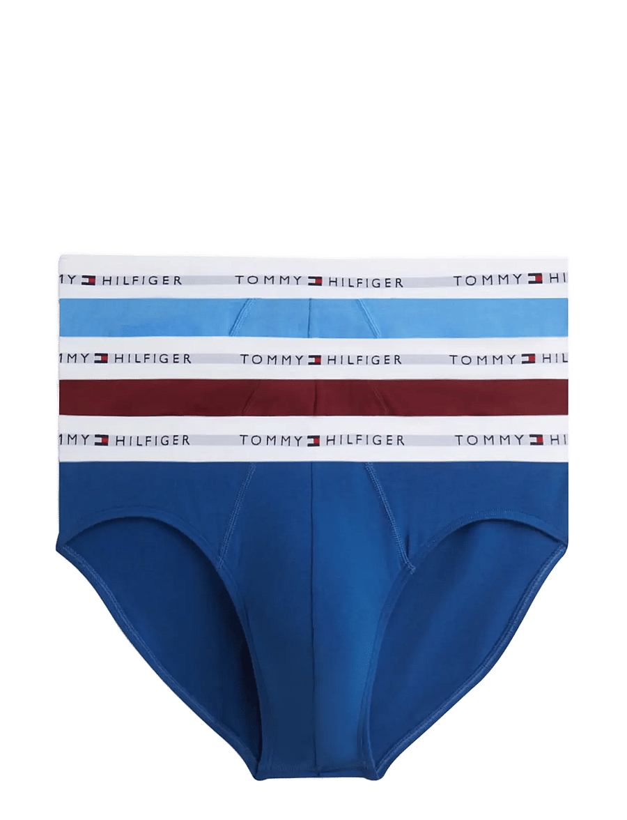 Tommy Hilfiger - 3P BRIEF - multipack underpants - opulent blue burgundy blue spell - 1