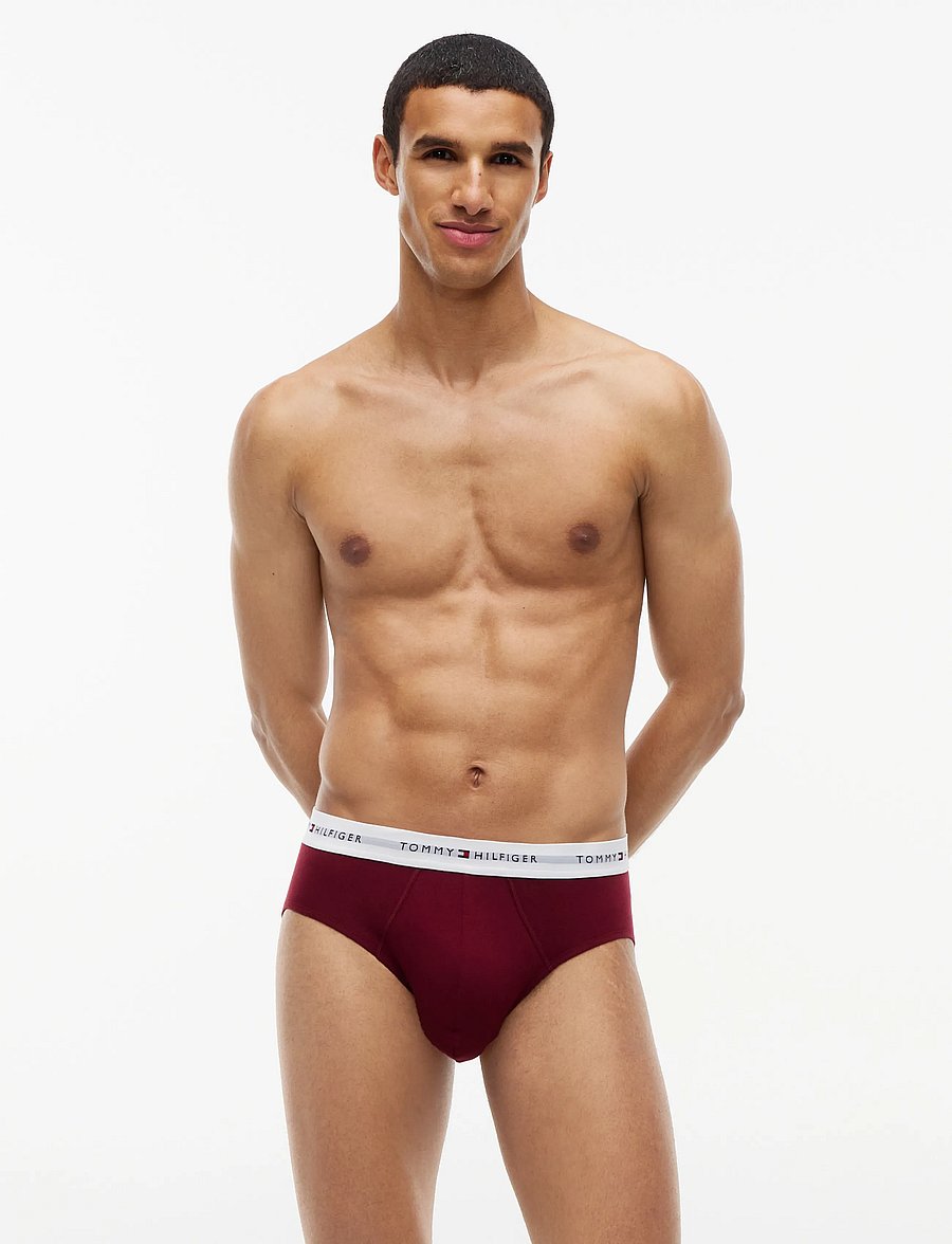 Tommy Hilfiger - 3P BRIEF - multipack underpants - opulent blue burgundy blue spell - 0