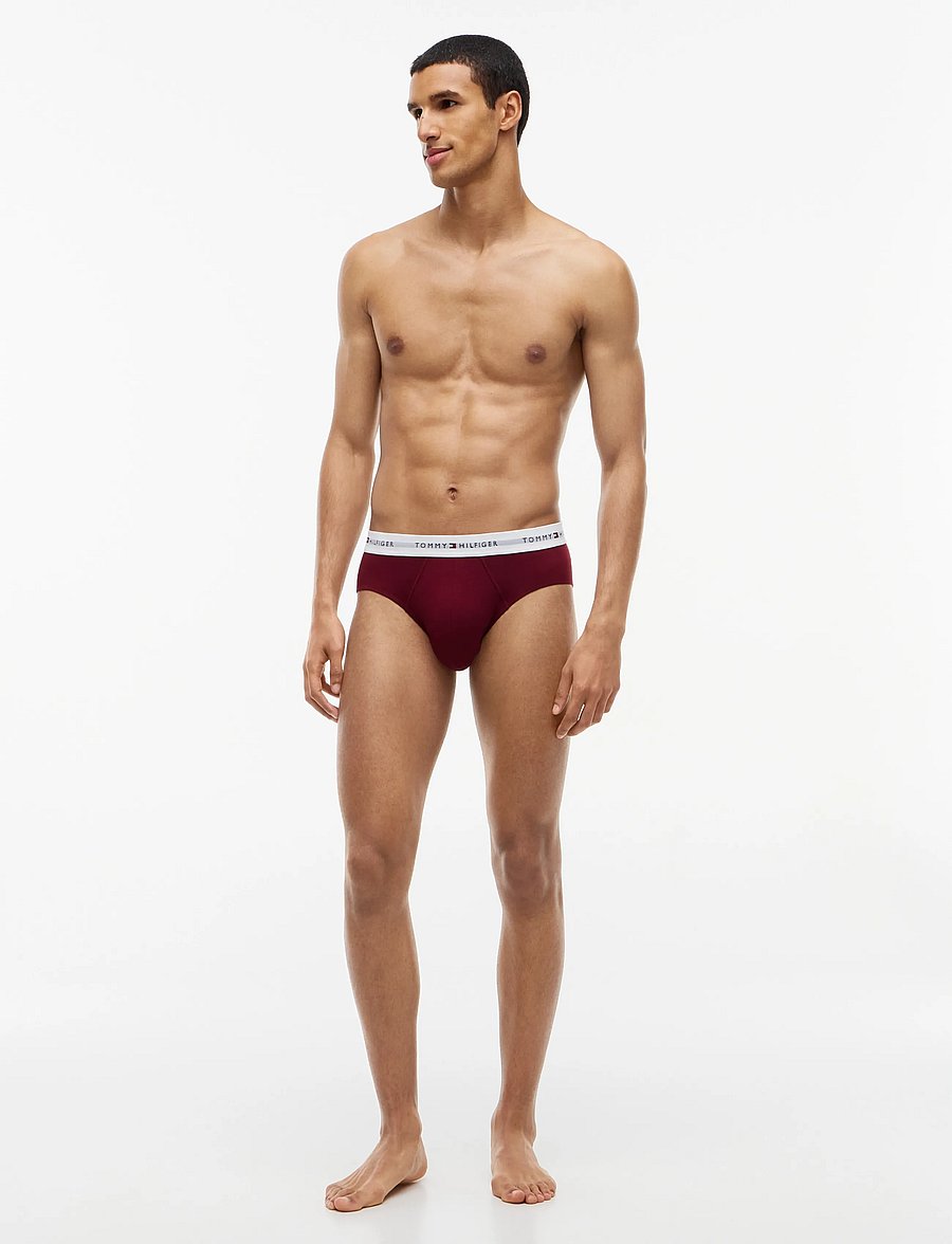 Tommy Hilfiger - 3P BRIEF - multipack underpants - opulent blue burgundy blue spell - 2
