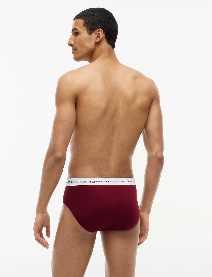 Tommy Hilfiger - 3P BRIEF - multipack underpants - opulent blue burgundy blue spell - 4
