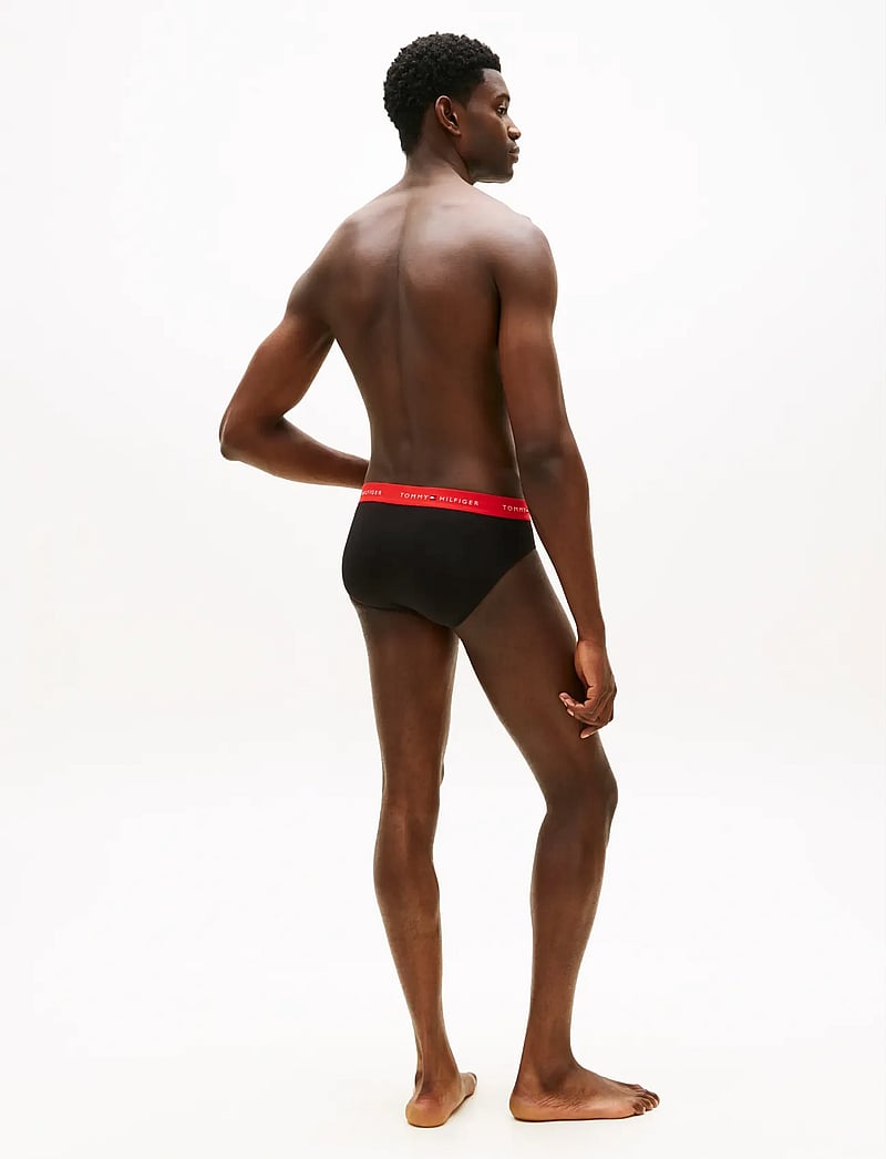 Tommy Hilfiger - 3P BRIEF WB - multipack kalsonger - fre rd ae sea ras ju - 5