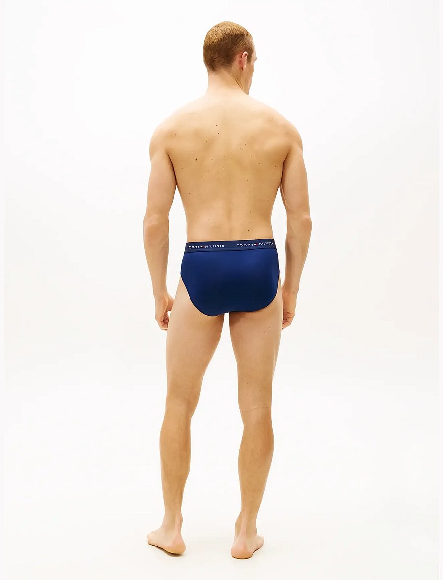 Tommy Hilfiger - 3P BRIEF WB - multipakk aluspüksid - ptch blu arc aqu des - 3