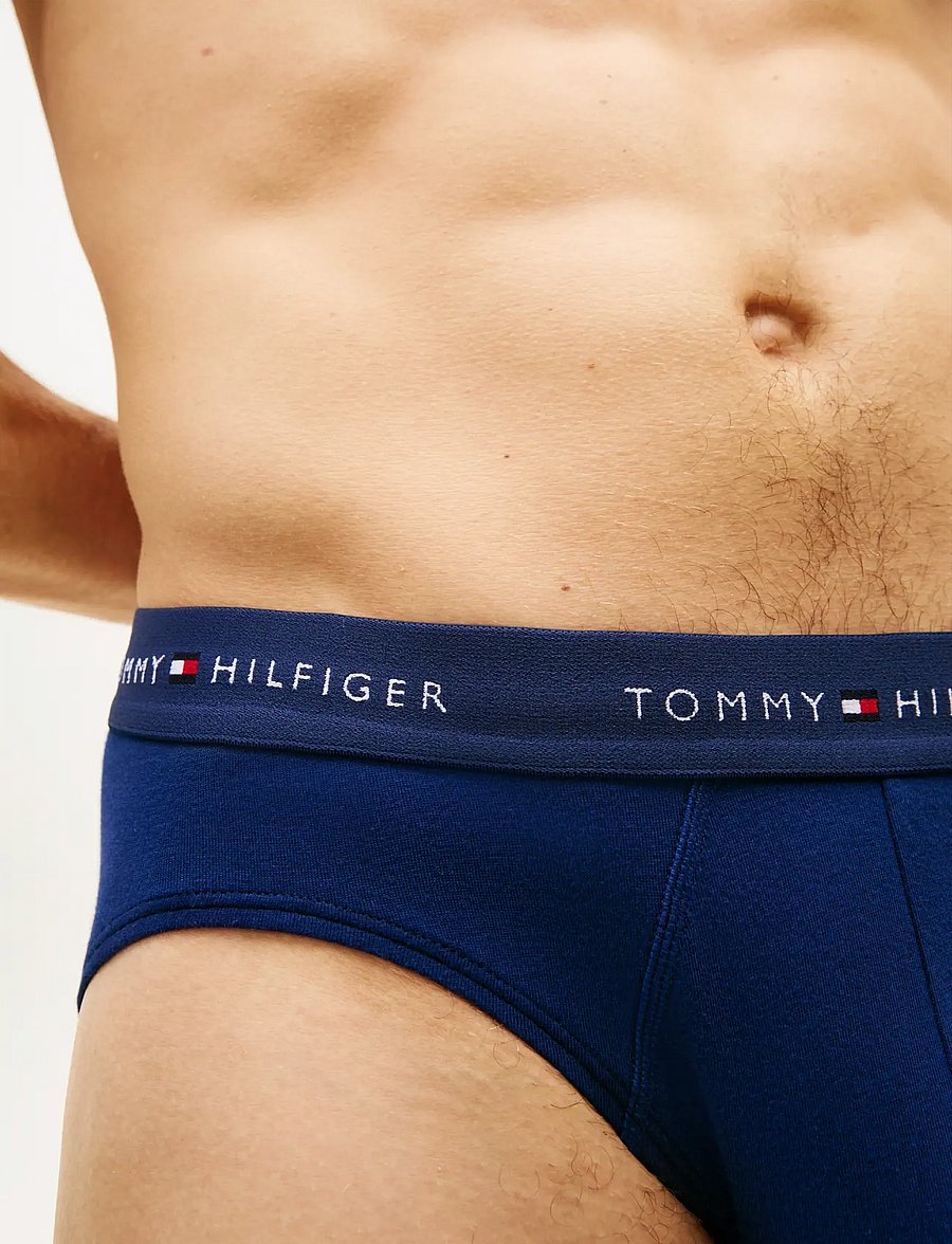 Tommy Hilfiger - 3P BRIEF WB - multipakk aluspüksid - ptch blu arc aqu des - 5