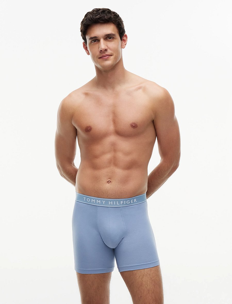 Tommy Hilfiger - 3P BOXER BRIEF - multipack underbukser - navy blue opul blue brisk blue - 4