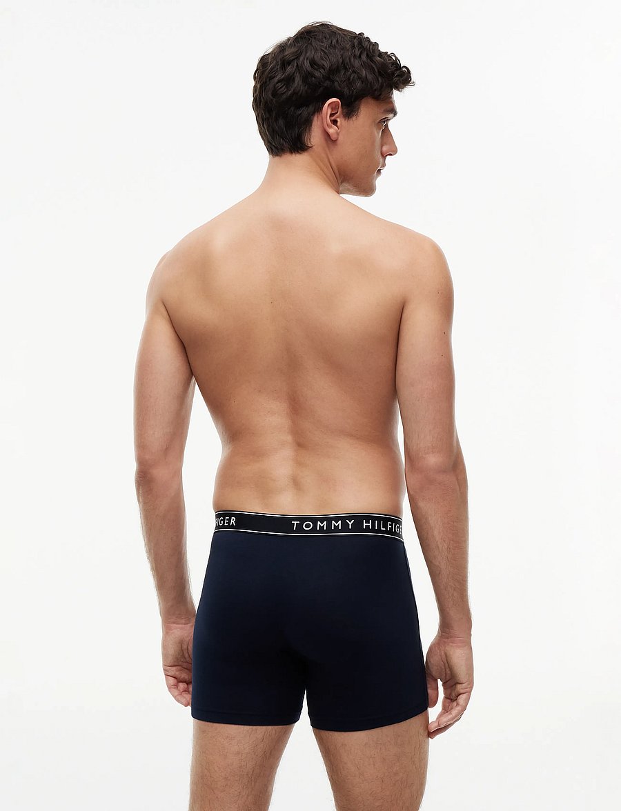 Tommy Hilfiger - 3P BOXER BRIEF - multipack underbukser - navy blue opul blue brisk blue - 5