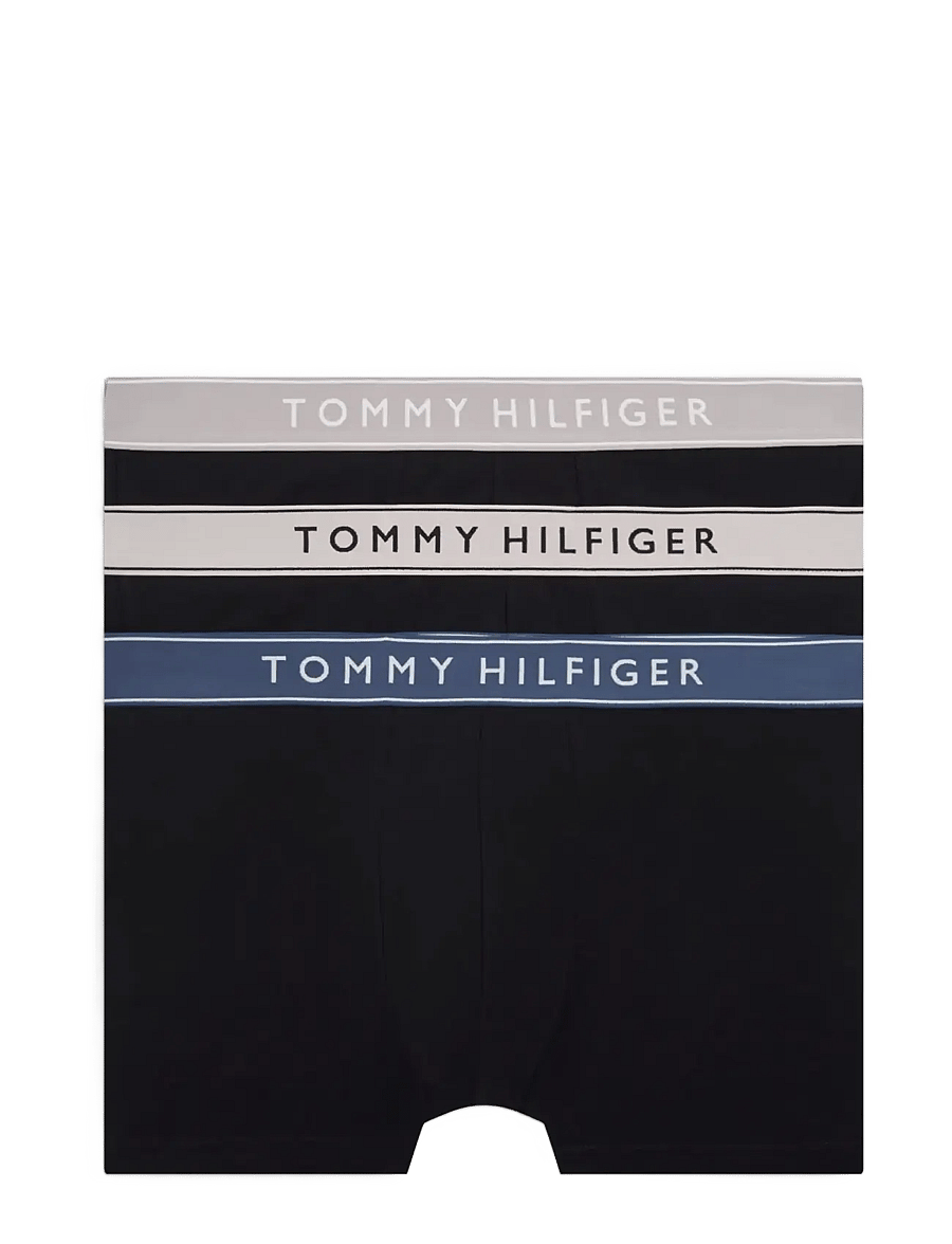 Tommy Hilfiger - 3P TRUNK WB - multipakk aluspüksid - ple pnk ant slver aeg sea - 1