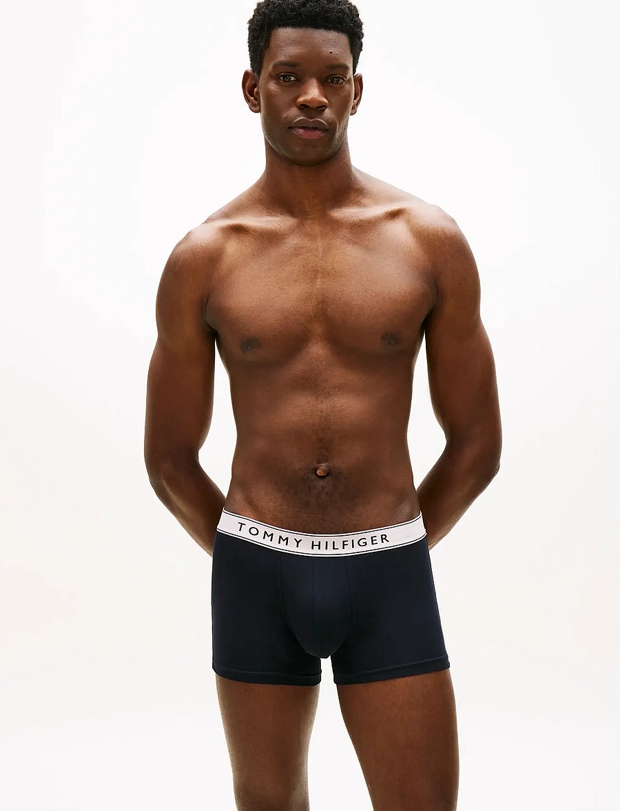 Tommy Hilfiger - 3P TRUNK WB - multipakk aluspüksid - ple pnk ant slver aeg sea - 4