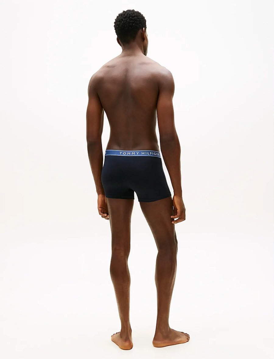 Tommy Hilfiger - 3P TRUNK WB - multipakk aluspüksid - ple pnk ant slver aeg sea - 5