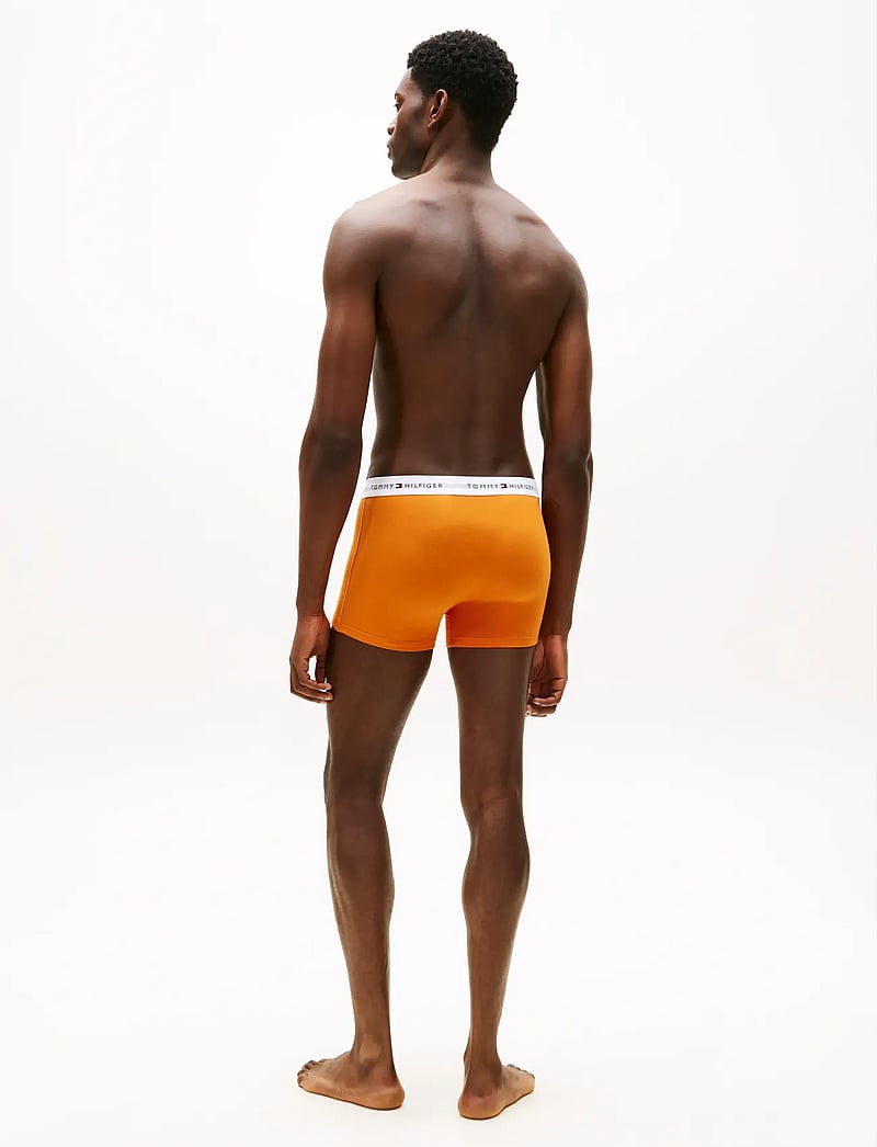 Tommy Hilfiger - 3P TRUNK - unterhosen im multipack - reg blu bon org blk - 5