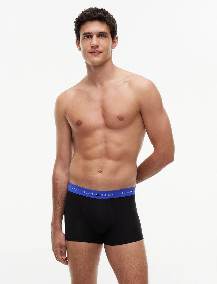 Tommy Hilfiger - 3P TRUNK WB - multipack underpants - b alaskan green black noble blue - 0