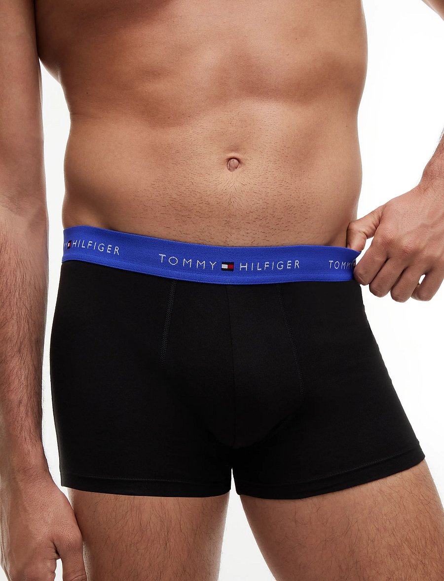 Tommy Hilfiger - 3P TRUNK WB - multipack underpants - b alaskan green black noble blue - 3