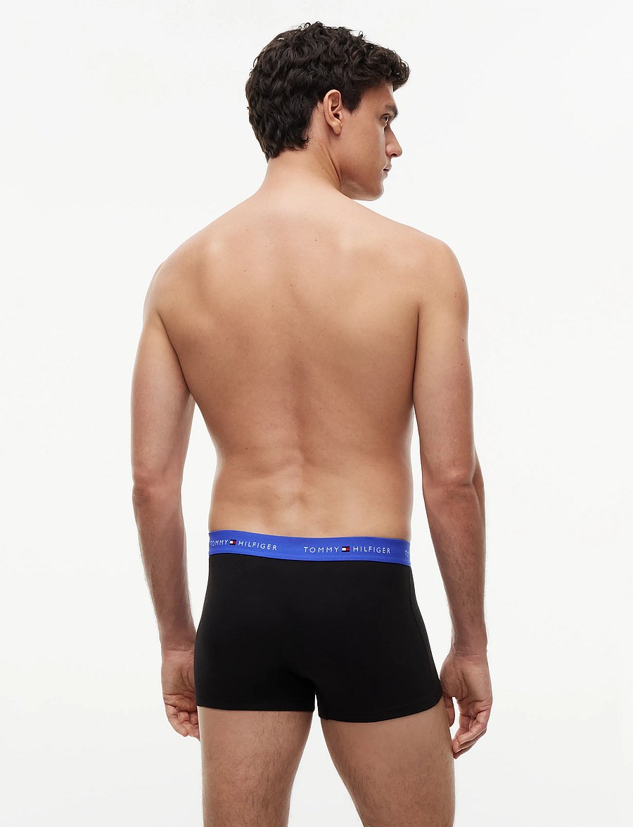 Tommy Hilfiger - 3P TRUNK WB - multipack underpants - b alaskan green black noble blue - 4