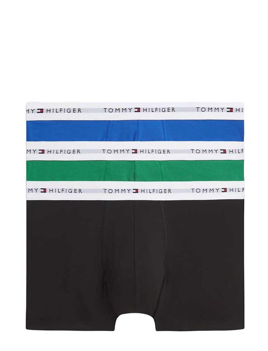 Tommy Hilfiger - 3P BOXER BRIEF - multipakk aluspüksid - alaskan green black noble blue - 1