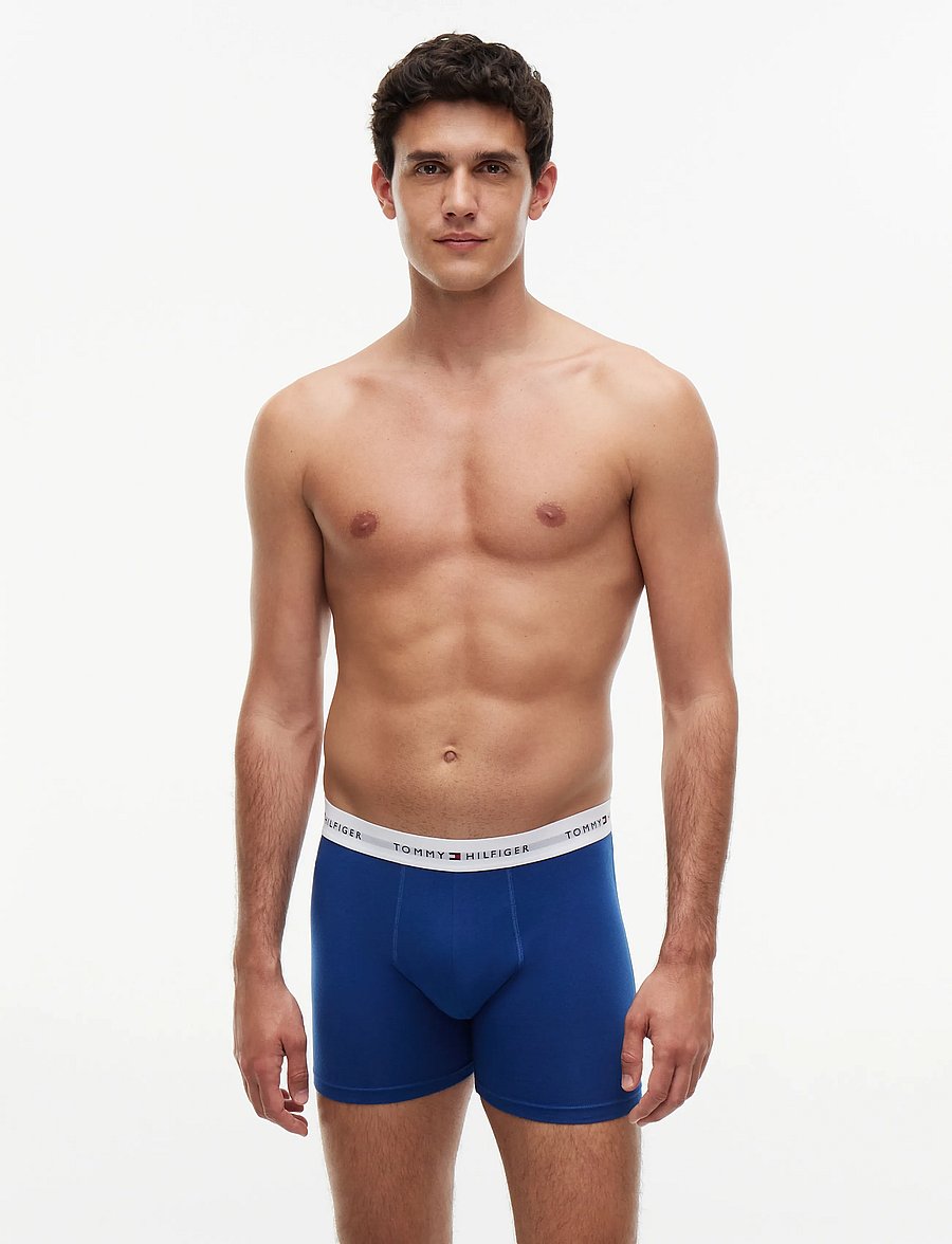 Tommy Hilfiger - 3P BOXER BRIEF - multipakk aluspüksid - alaskan green black noble blue - 0