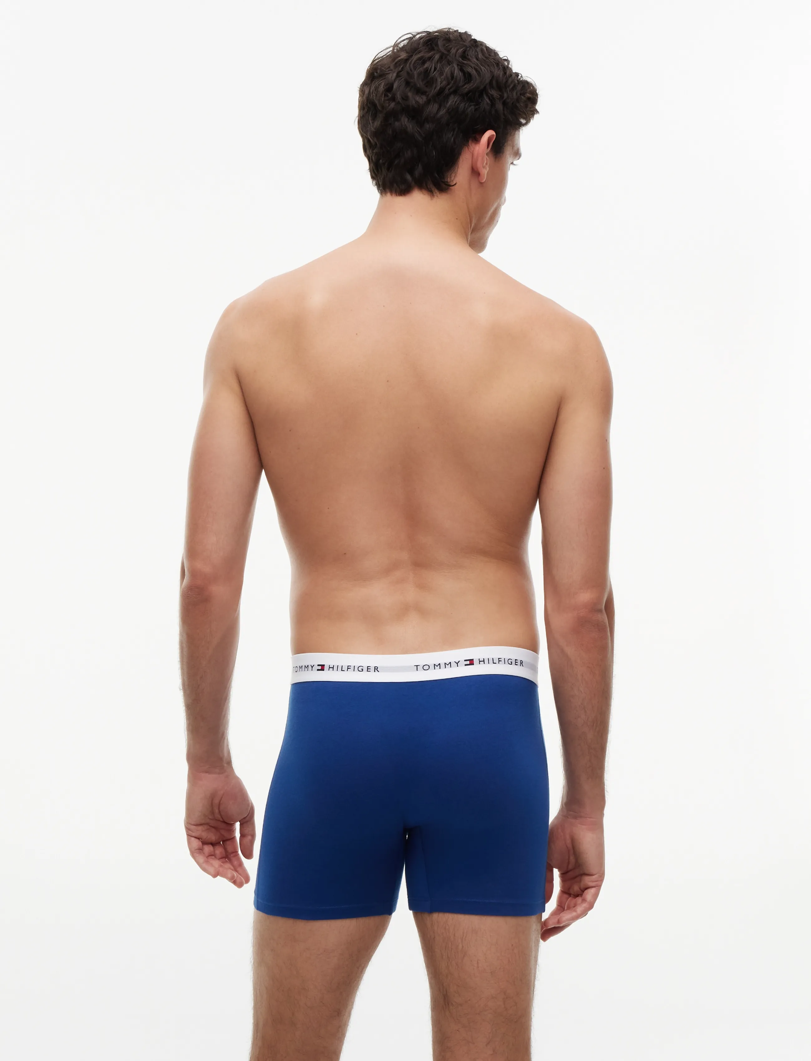 Tommy Hilfiger - 3P BOXER BRIEF - multipack underpants - alaskan green black noble blue - 5