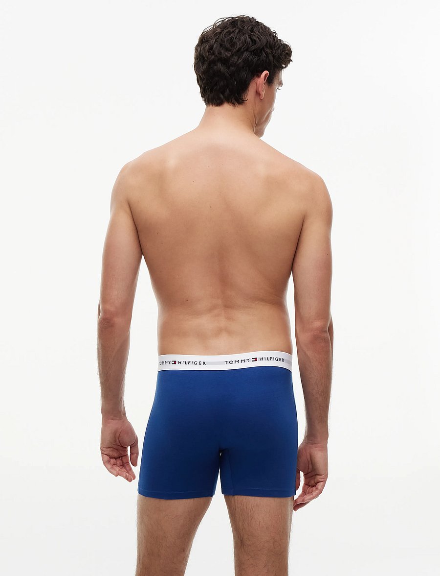 Tommy Hilfiger - 3P BOXER BRIEF - multipakk aluspüksid - alaskan green black noble blue - 5
