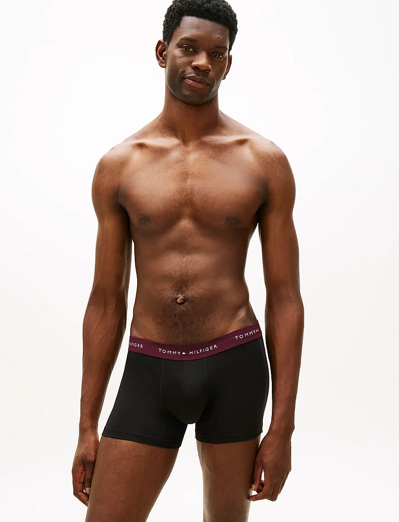 Tommy Hilfiger - 5P TRUNK WB - multipack kalsonger - rs ju fr rd md mr wht dp brg - 0