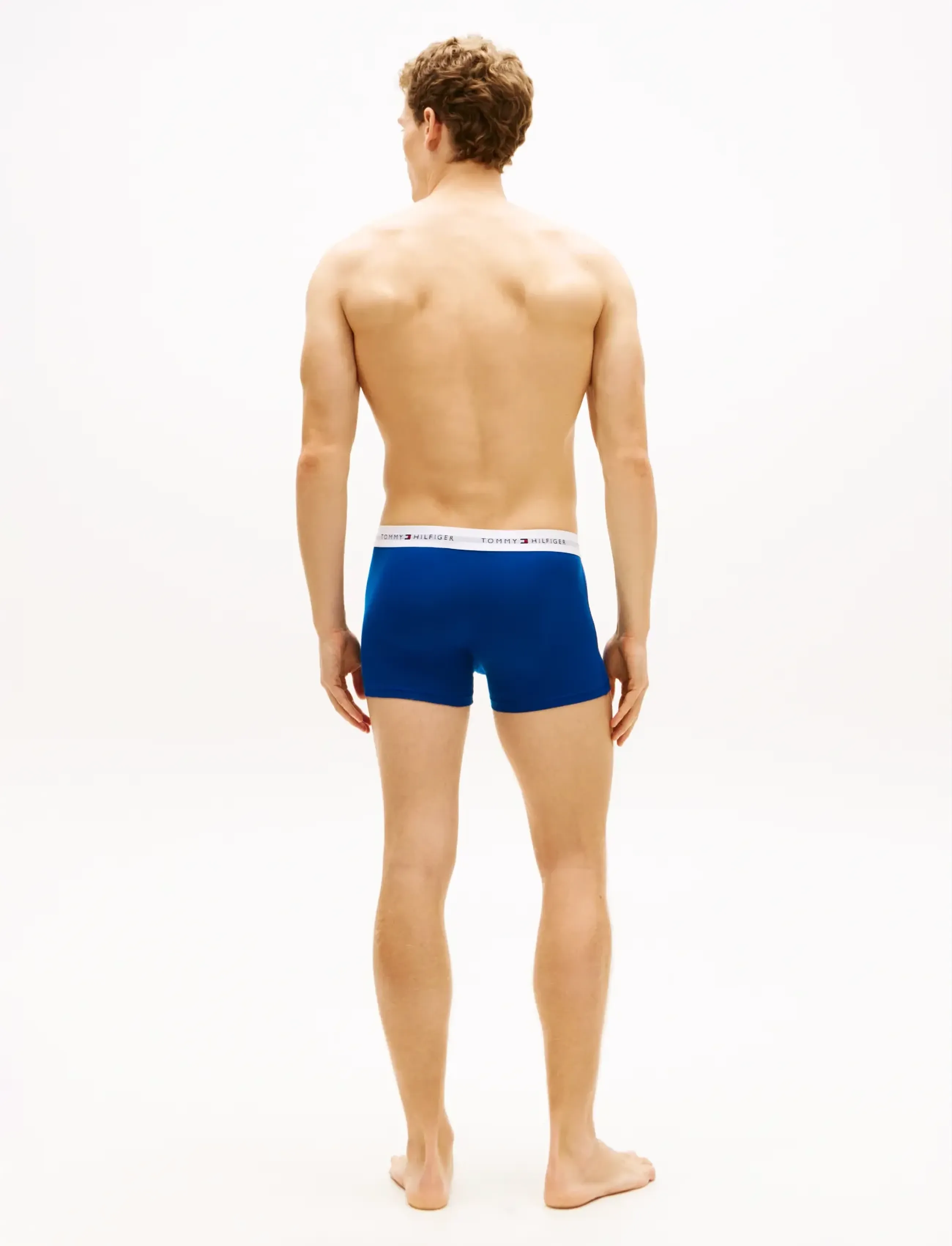 Tommy Hilfiger - 7P TRUNK PRINT - multipack underpants - bk ds sk bl jn ct bl jl cp bl or ge - 4