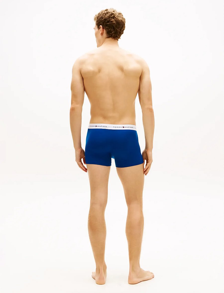 Tommy Hilfiger - 7P TRUNK PRINT - unterhosen im multipack - bk ds sk bl jn ct bl jl cp bl or ge - 4